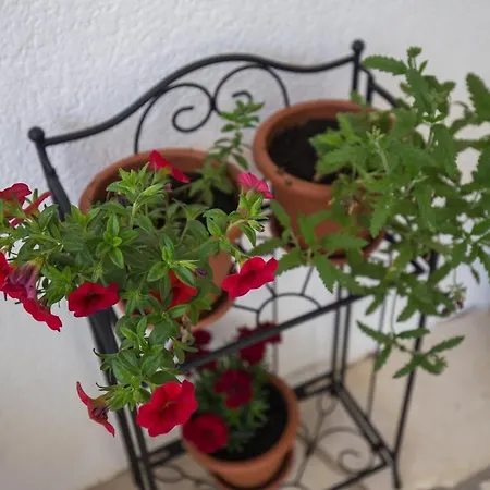 Libertas - Studio With Terrace *